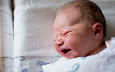 Paid family leave and Trump’s policy